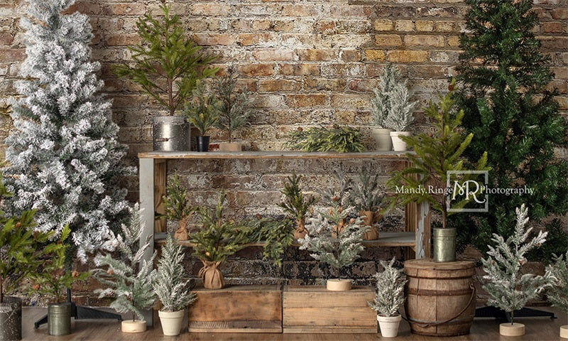Kate Farm Fresh Backdrop Tree Stand Simple Brick Wall Designed by Mandy Ringe Photography - Kate Backdrop AU
