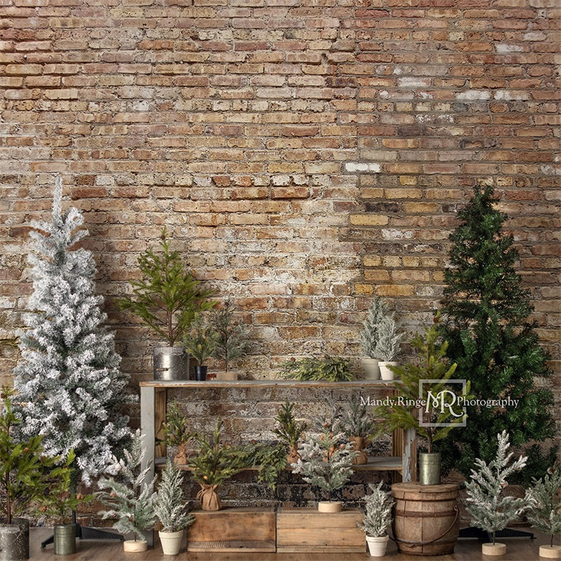 Kate Farm Fresh Backdrop Tree Stand Simple Brick Wall Designed by Mandy Ringe Photography - Kate Backdrop AU