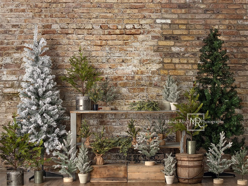 Kate Farm Fresh Backdrop Tree Stand Simple Brick Wall Designed by Mandy Ringe Photography - Kate Backdrop AU