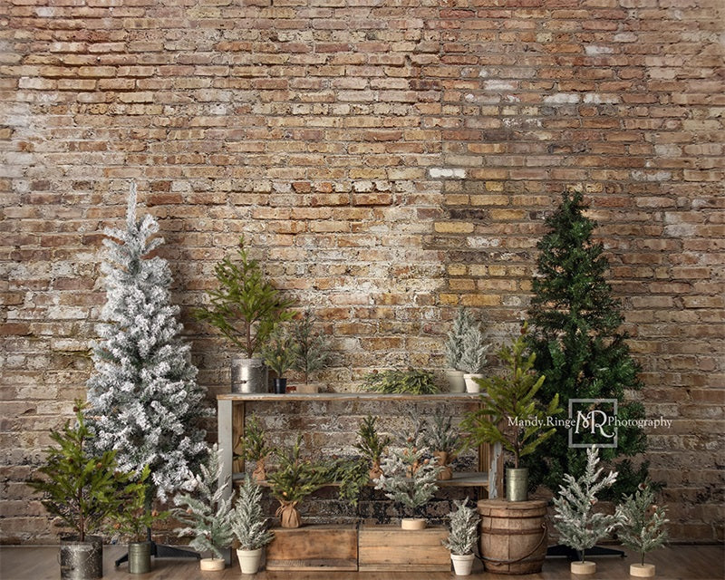 Kate Farm Fresh Backdrop Tree Stand Simple Brick Wall Designed by Mandy Ringe Photography - Kate Backdrop AU