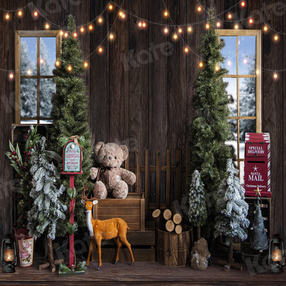 Kate Christmas Wood Backdrop Window Indoor Snow for Photography