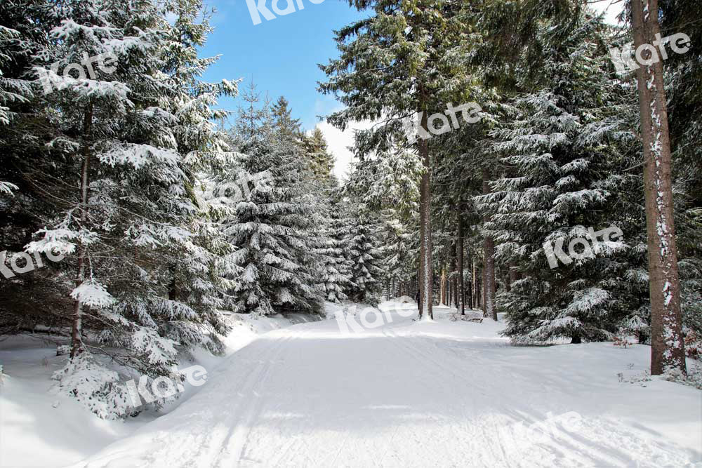 Kate Christmas Woods Backdrop Winter Snow Scene Nature Designed by Chain Photography