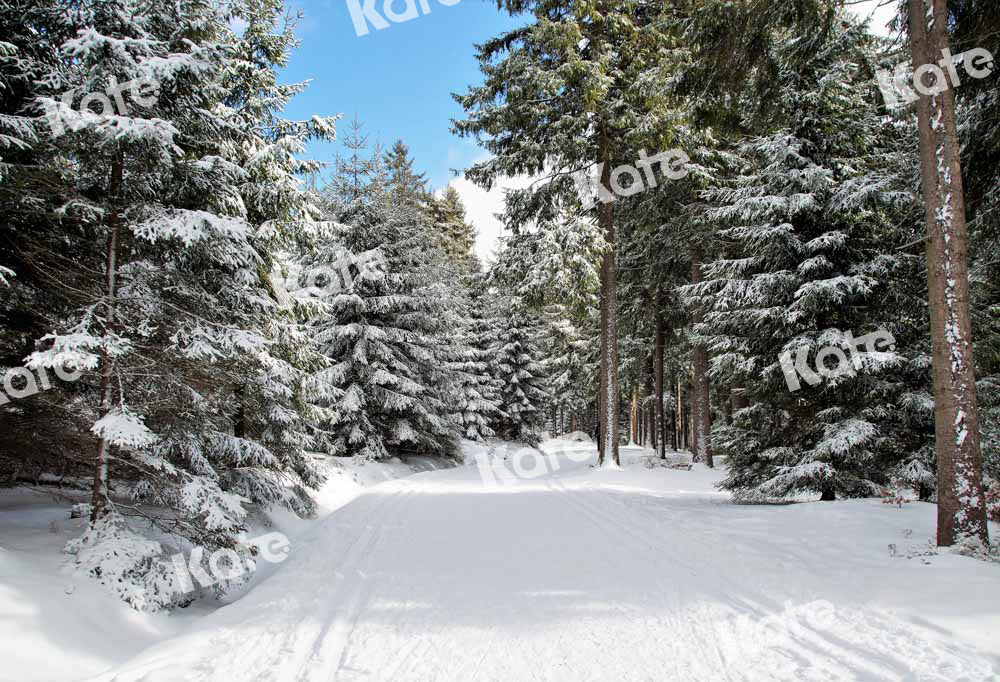 Kate Christmas Woods Backdrop Winter Snow Scene Nature Designed by Chain Photography