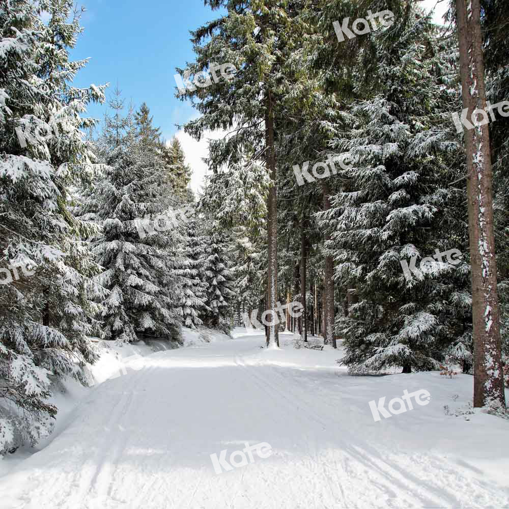 Kate Christmas Woods Backdrop Winter Snow Scene Nature Designed by Chain Photography