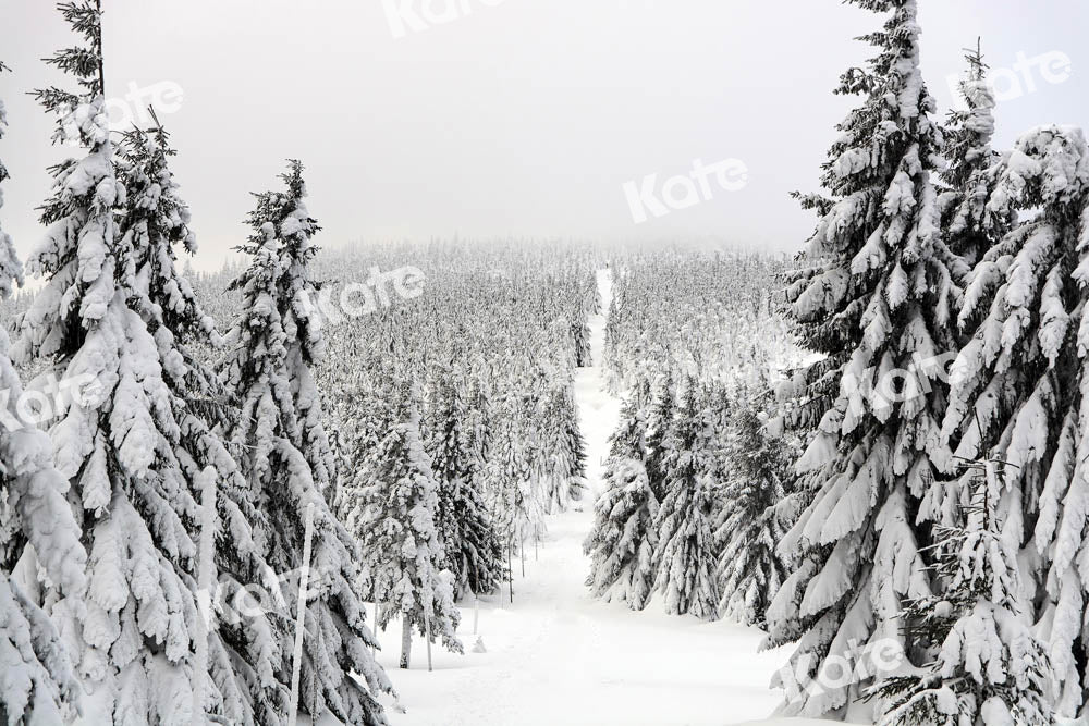 Kate Christmas Forest Backdrop Snow Scene Designed by Chain Photography