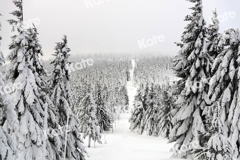 Kate Christmas Forest Backdrop Snow Scene Designed by Chain Photography - Kate Backdrop AU