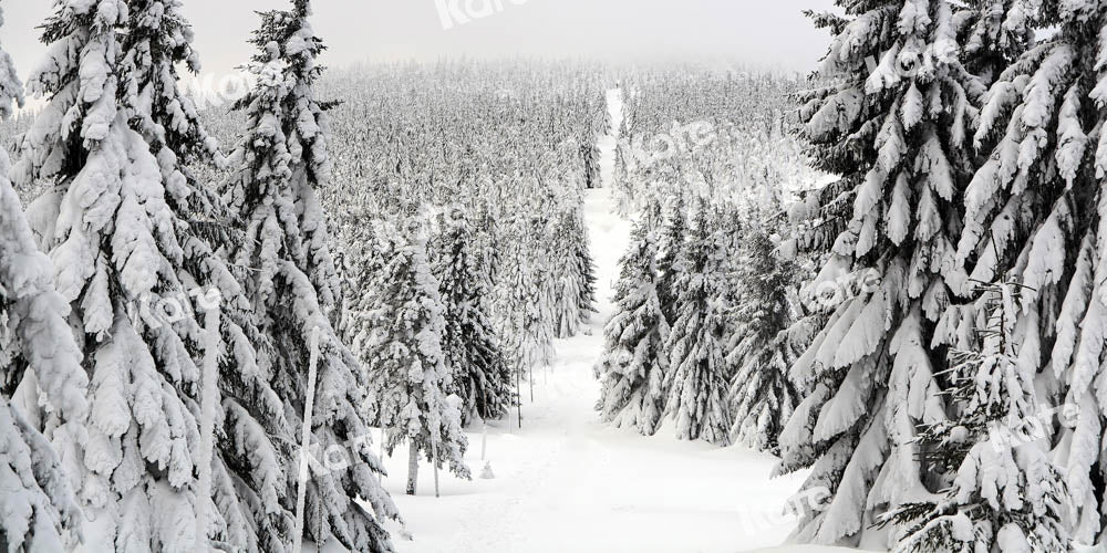 Kate Christmas Forest Backdrop Snow Scene Designed by Chain Photography - Kate Backdrop AU