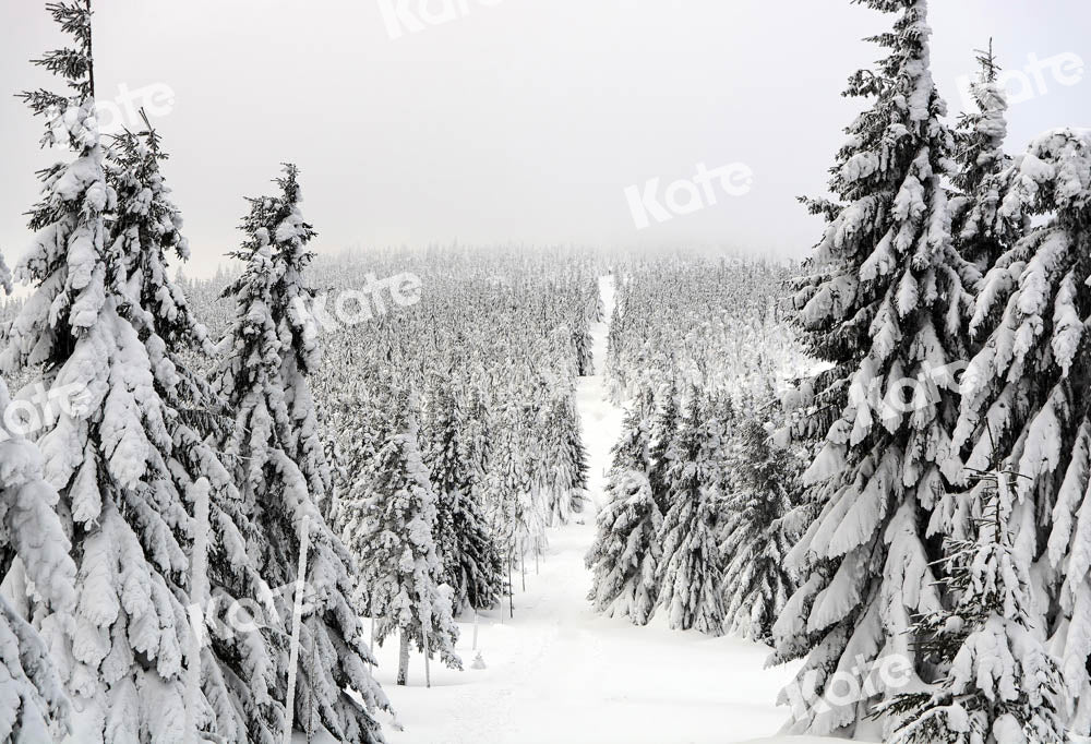 Kate Christmas Forest Backdrop Snow Scene Designed by Chain Photography