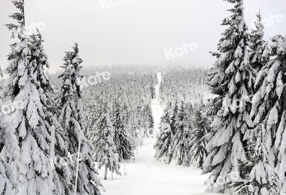 Kate Christmas Forest Backdrop Snow Scene Designed by Chain Photography - Kate Backdrop AU