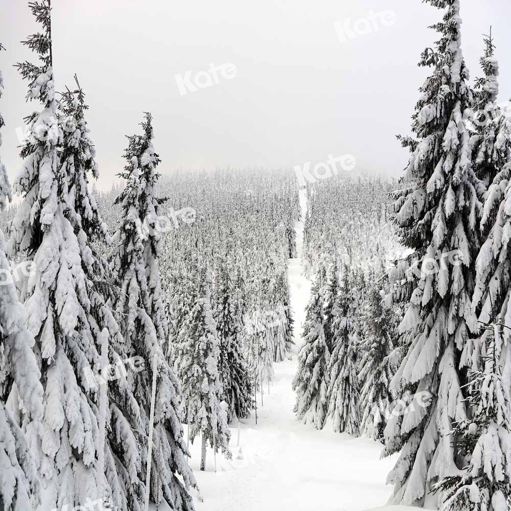 Kate Christmas Forest Backdrop Snow Scene Designed by Chain Photography - Kate Backdrop AU