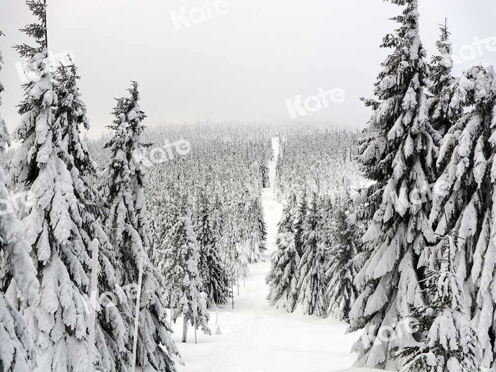 Kate Christmas Forest Backdrop Snow Scene Designed by Chain Photography - Kate Backdrop AU