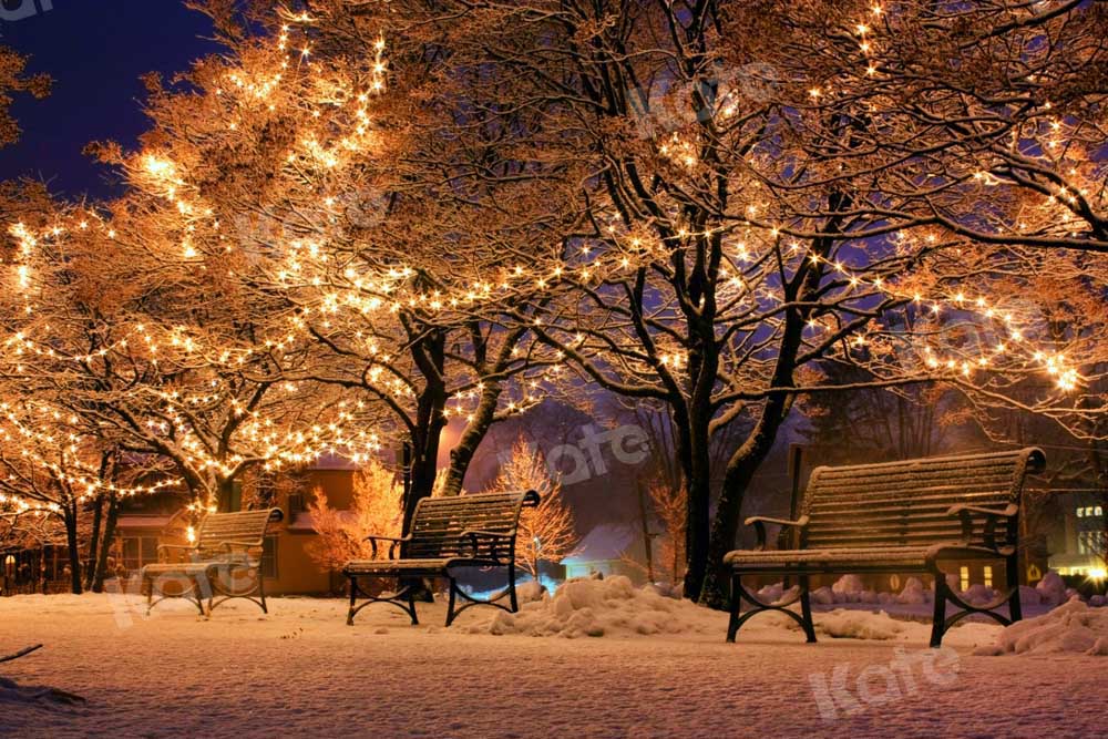 Kate Christmas Park Backdrop Bench Nature Decorate Designed by Chain Photography
