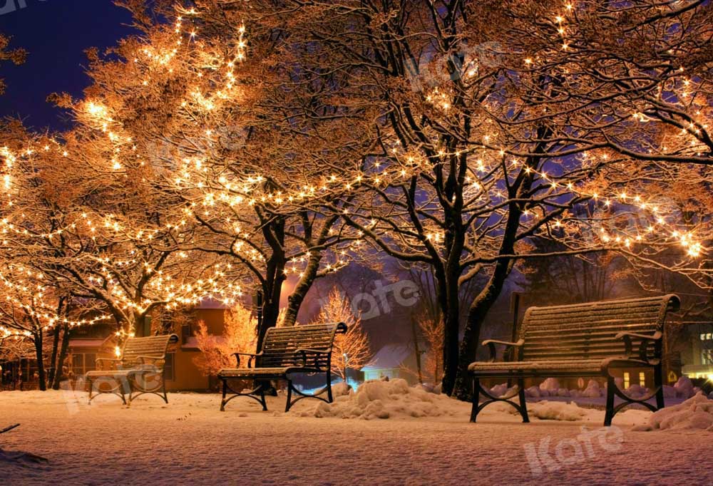 Kate Christmas Park Backdrop Bench Nature Decorate Designed by Chain Photography