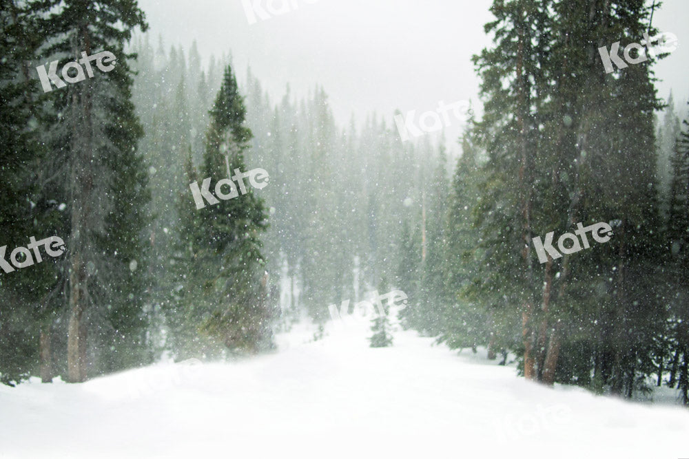 Kate Christmas Snow Forest Backdrop Designed by Kate Image
