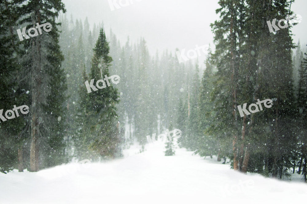 Kate Christmas Snow Forest Backdrop Designed by Kate Image