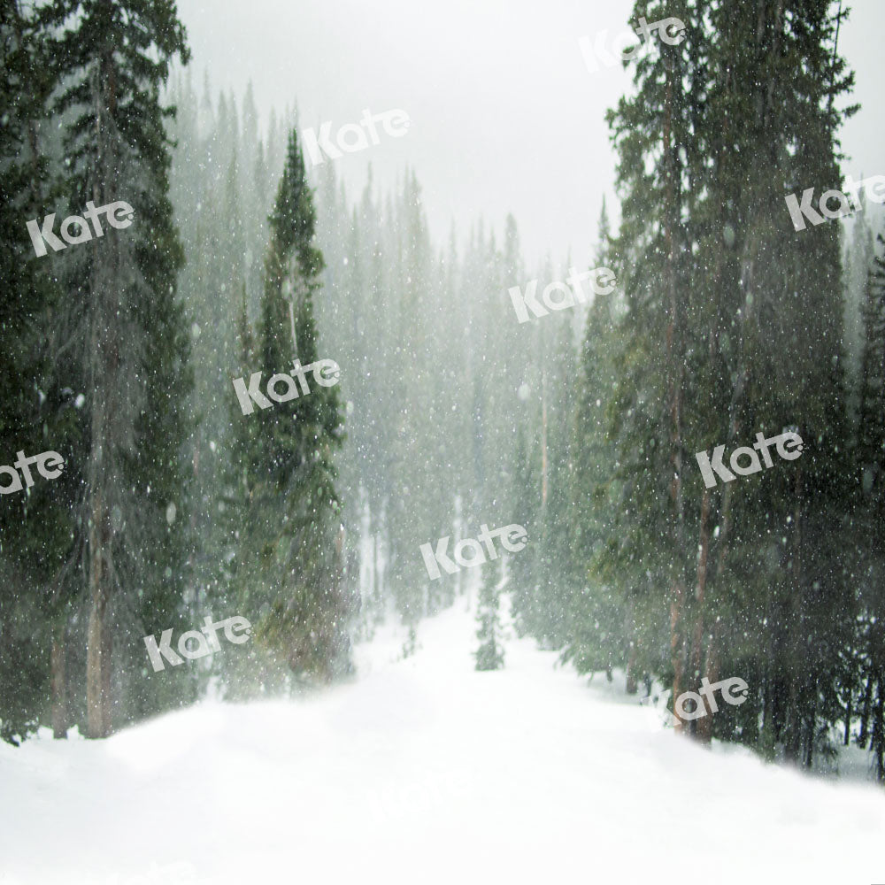 Kate Christmas Snow Forest Backdrop Designed by Kate Image - Kate Backdrop AU