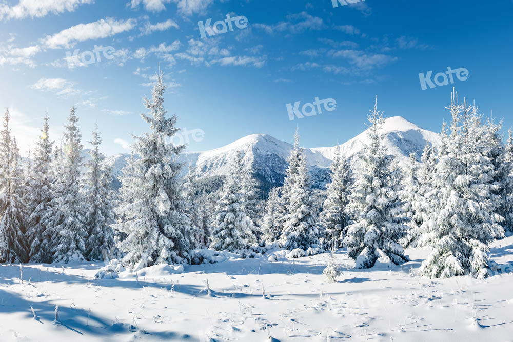 Kate Snow Forest Backdrop Winter Designed by Kate Image - Kate Backdrop AU