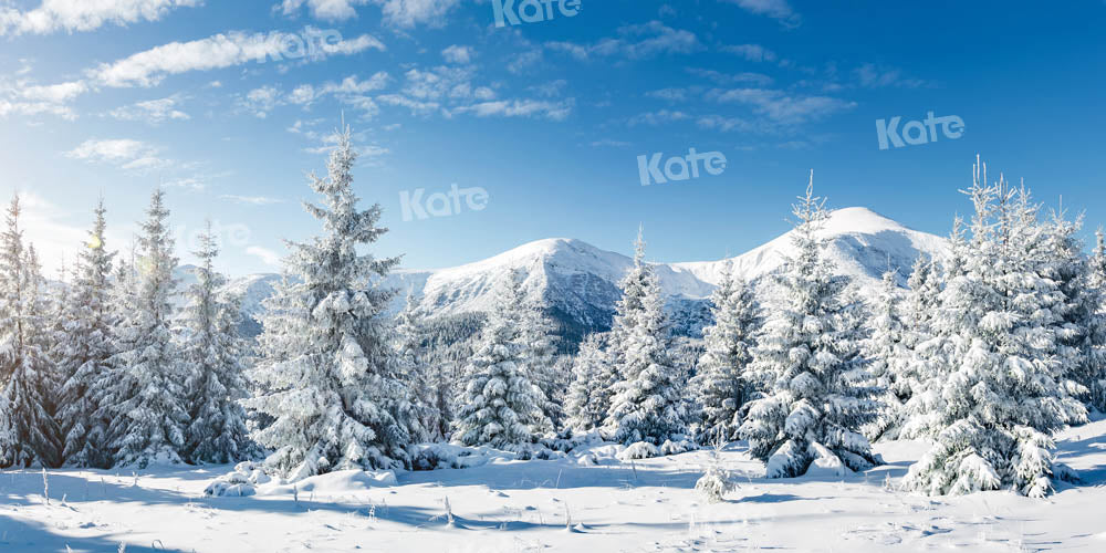 Kate Snow Forest Backdrop Winter Designed by Kate Image - Kate Backdrop AU