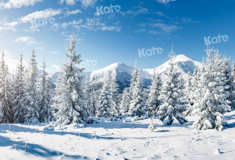 Kate Snow Forest Backdrop Winter Designed by Kate Image - Kate Backdrop AU