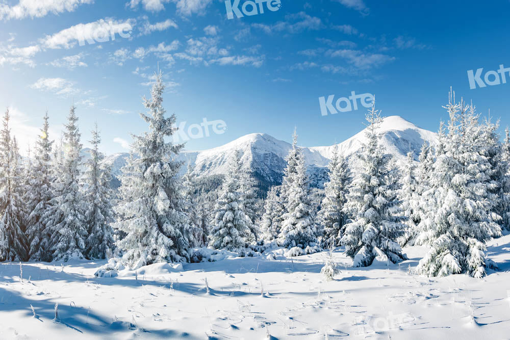 Kate Snow Forest Backdrop Winter Designed by Kate Image - Kate Backdrop AU