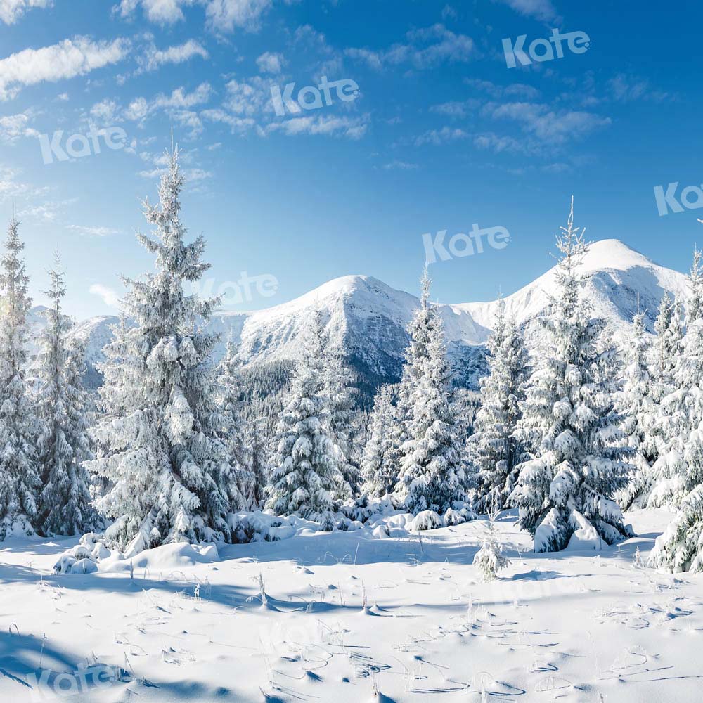 Kate Snow Forest Backdrop Winter Designed by Kate Image - Kate Backdrop AU