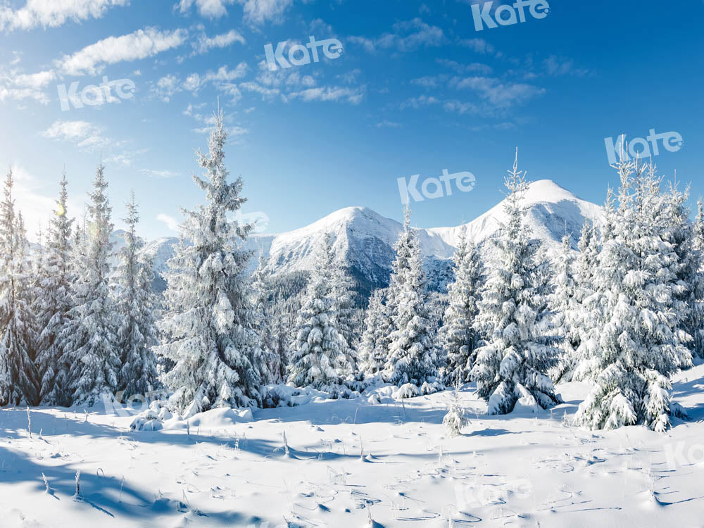 Kate Snow Forest Backdrop Winter Designed by Kate Image - Kate Backdrop AU