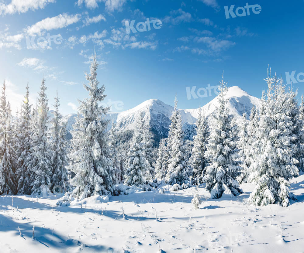 Kate Snow Forest Backdrop Winter Designed by Kate Image - Kate Backdrop AU