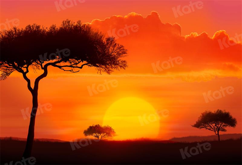 Kate Sunset Landscape Backdrop Tree Clouds for Photography