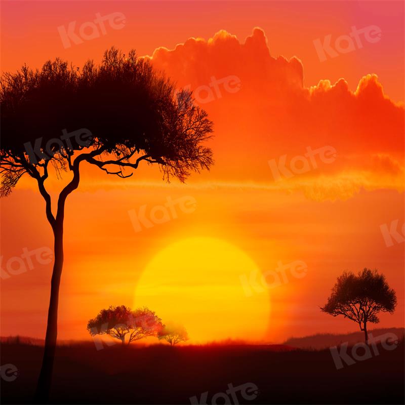 Kate Sunset Landscape Backdrop Tree Clouds for Photography
