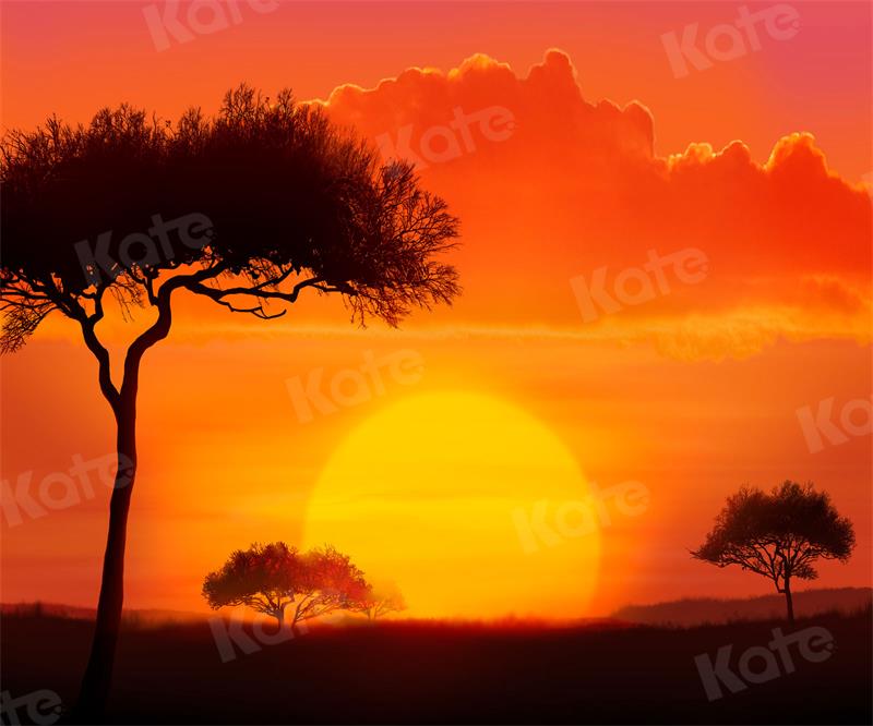 Kate Sunset Landscape Backdrop Tree Clouds for Photography - Kate Backdrop AU