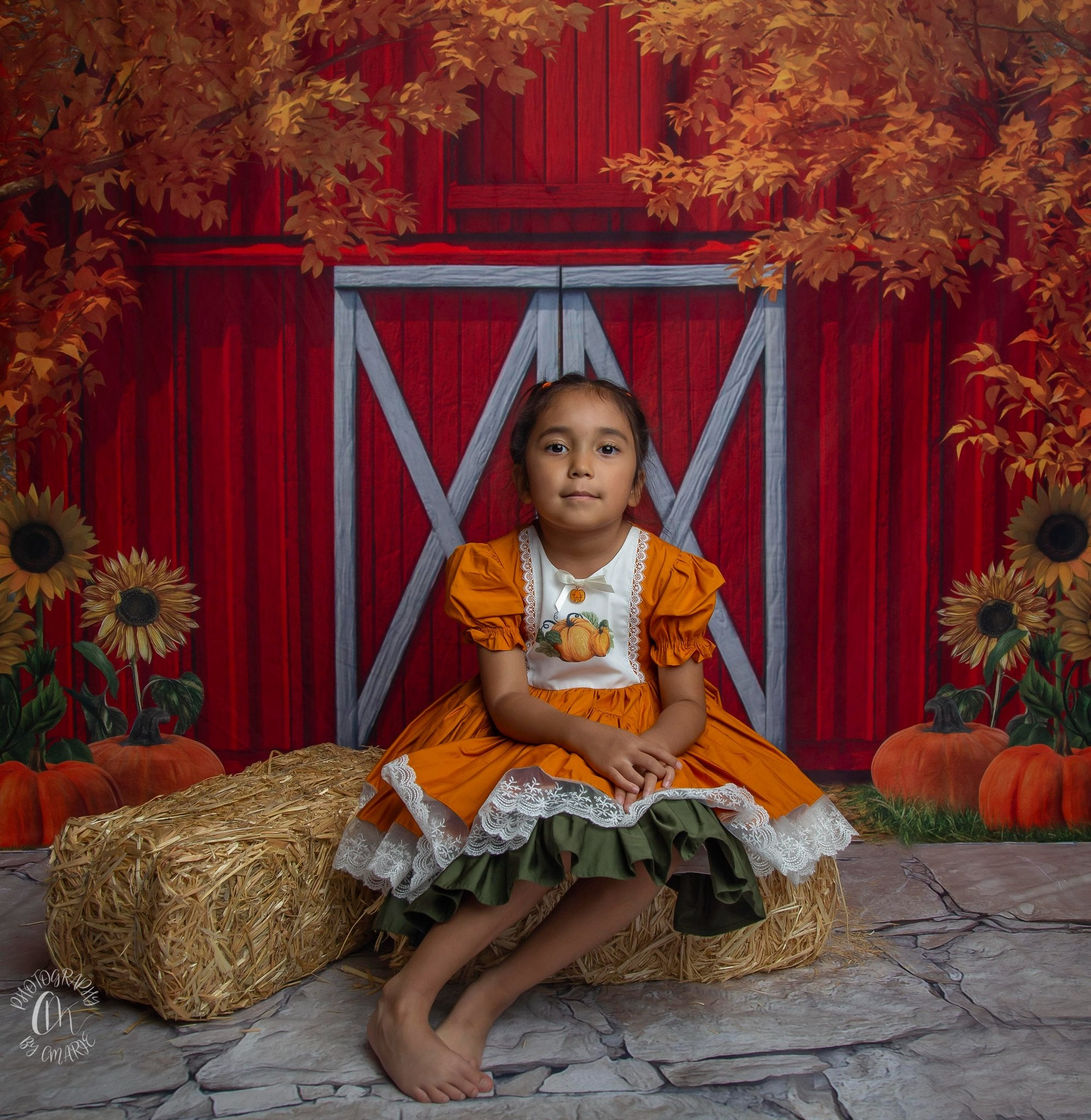 Kate Autumn Sunflower Pumpkin Backdrop Red House Designed by Candice Compton