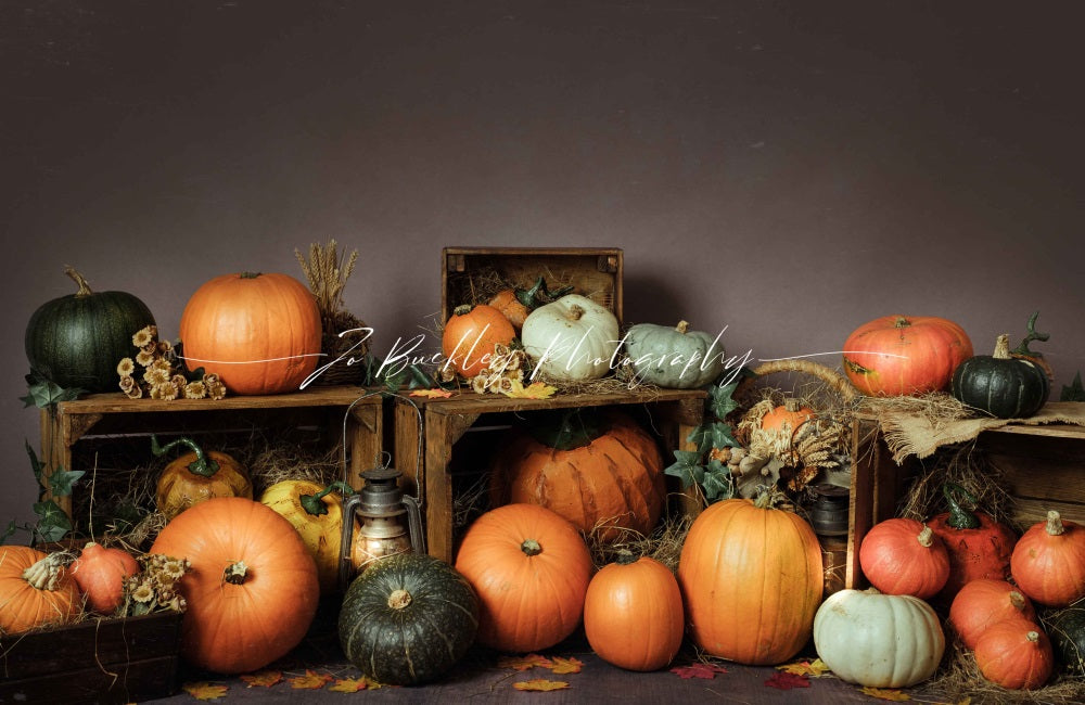 Kate Pumpkin Patch Backdrop Autumn Designed by Jo Buckley Photography