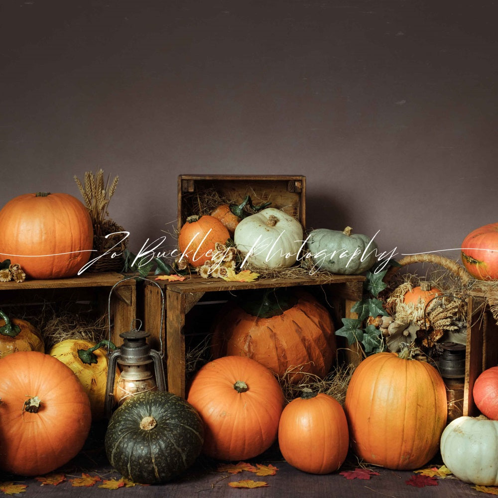 Kate Pumpkin Patch Backdrop Autumn Designed by Jo Buckley Photography