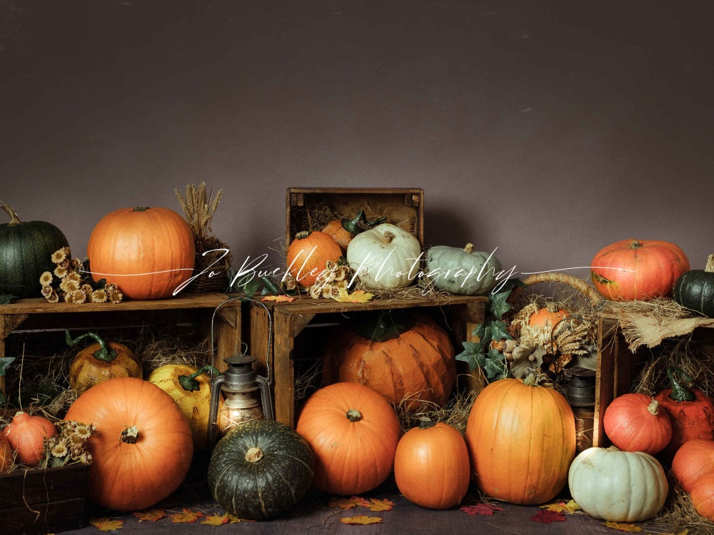 Kate Pumpkin Patch Backdrop Autumn Designed by Jo Buckley Photography