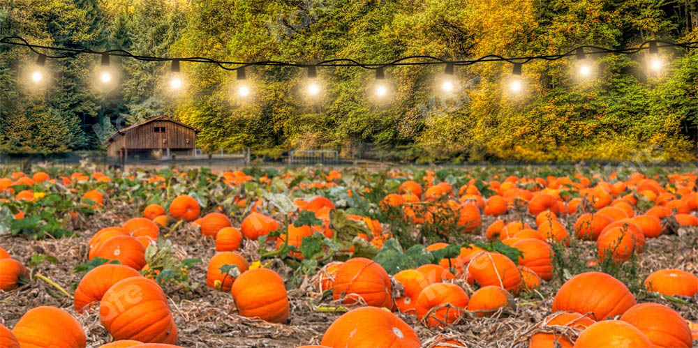 Kate Autumn Pumpkin Harvest Backdrop Designed by Chain Photography - Kate Backdrop AU