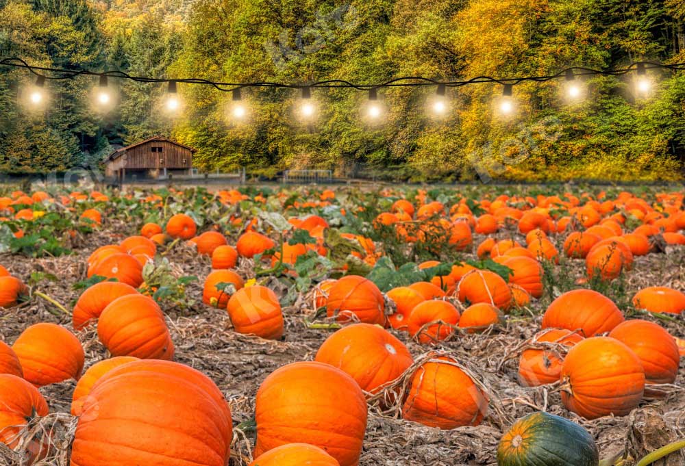 Kate Autumn Pumpkin Harvest Backdrop Designed by Chain Photography