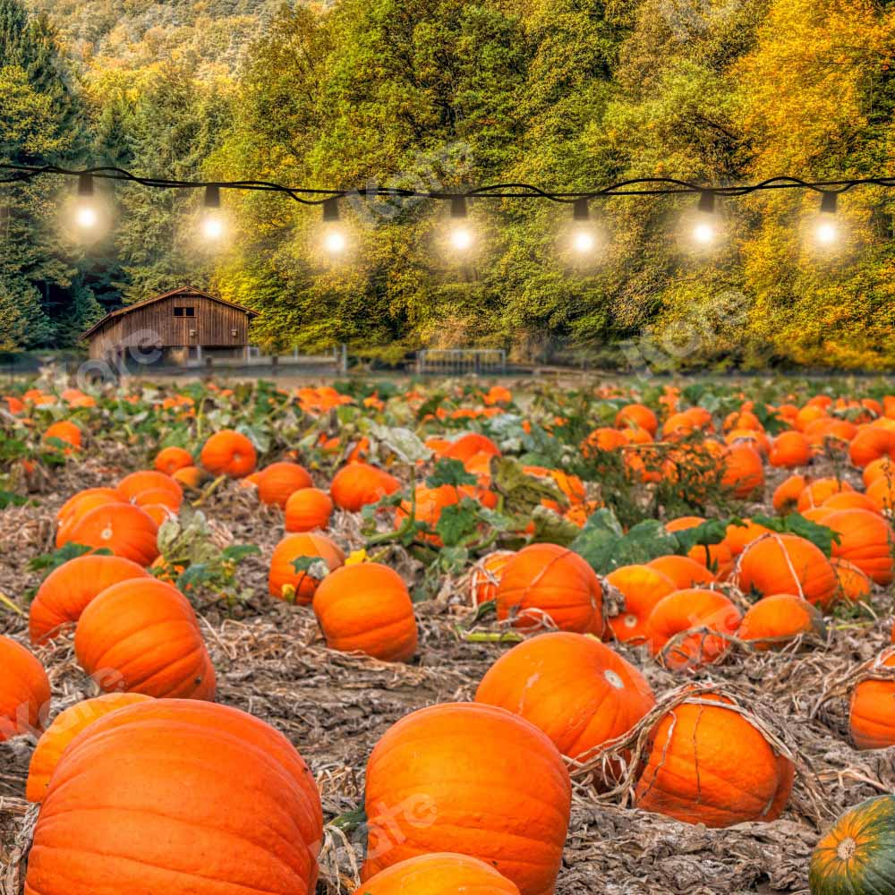 Kate Autumn Pumpkin Harvest Backdrop Designed by Chain Photography