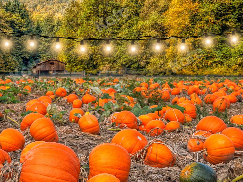 Kate Autumn Pumpkin Harvest Backdrop Designed by Chain Photography