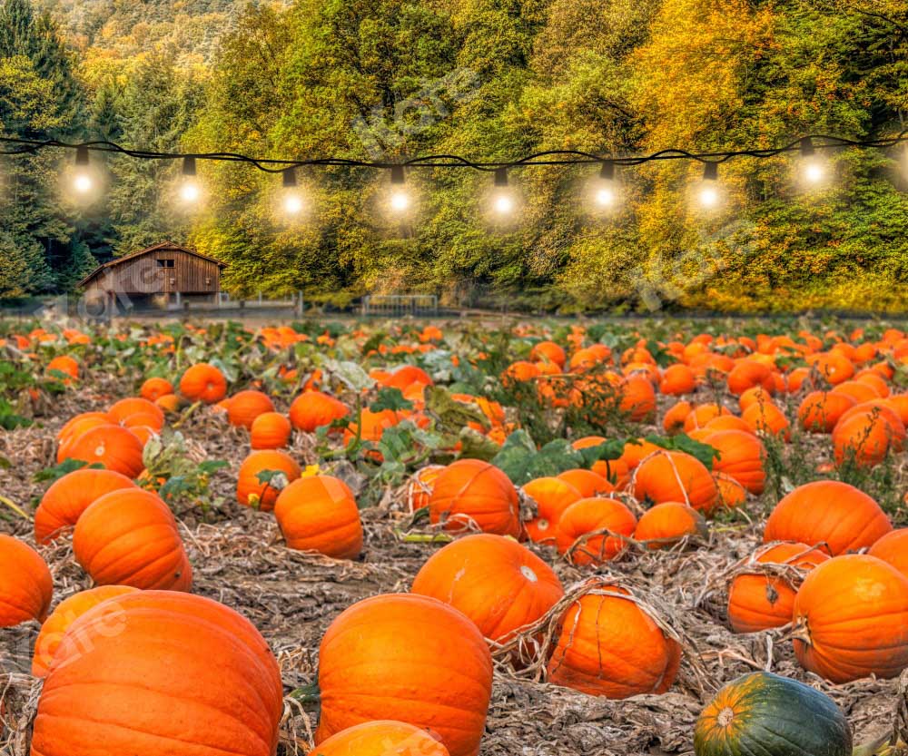 Kate Autumn Pumpkin Harvest Backdrop Designed by Chain Photography