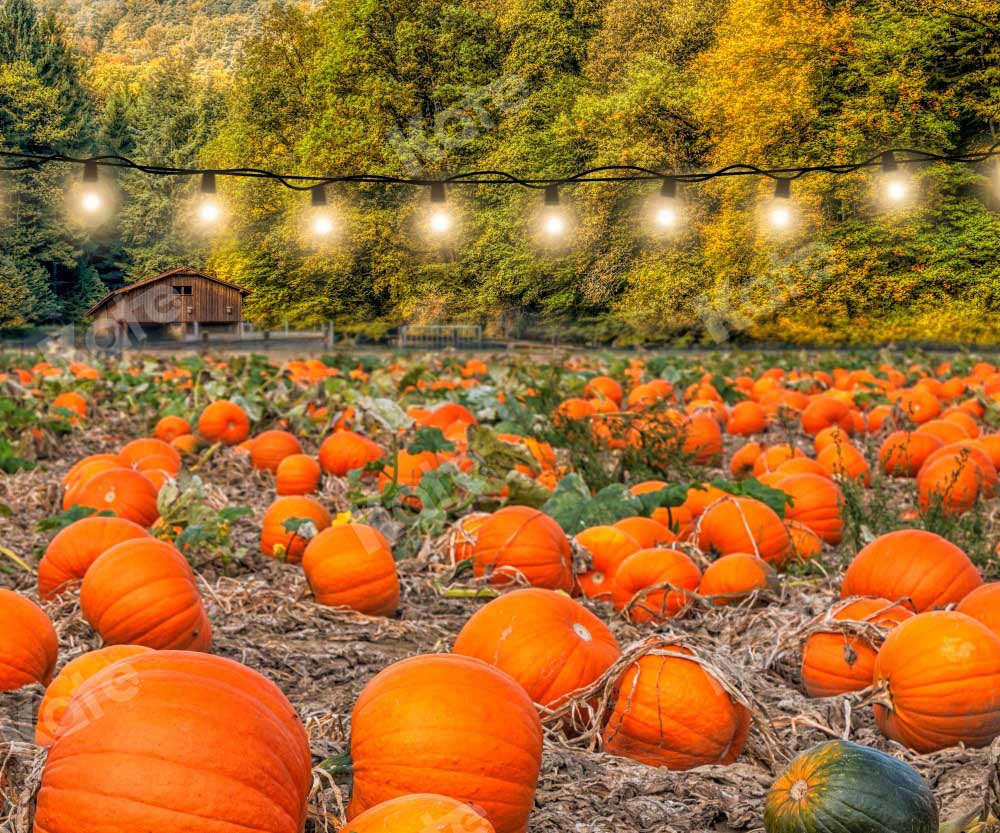 Kate Autumn Pumpkin Harvest Backdrop Designed by Chain Photography - Kate Backdrop AU