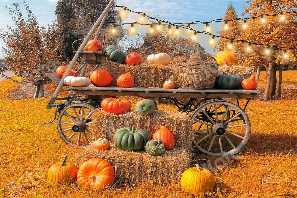 Kate Autumn Pumpkin Outdoors Backdrop Designed by Chain Photography