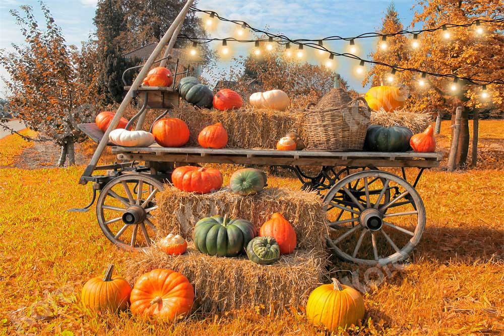 Kate Autumn Pumpkin Outdoors Backdrop Designed by Chain Photography - Kate Backdrop AU