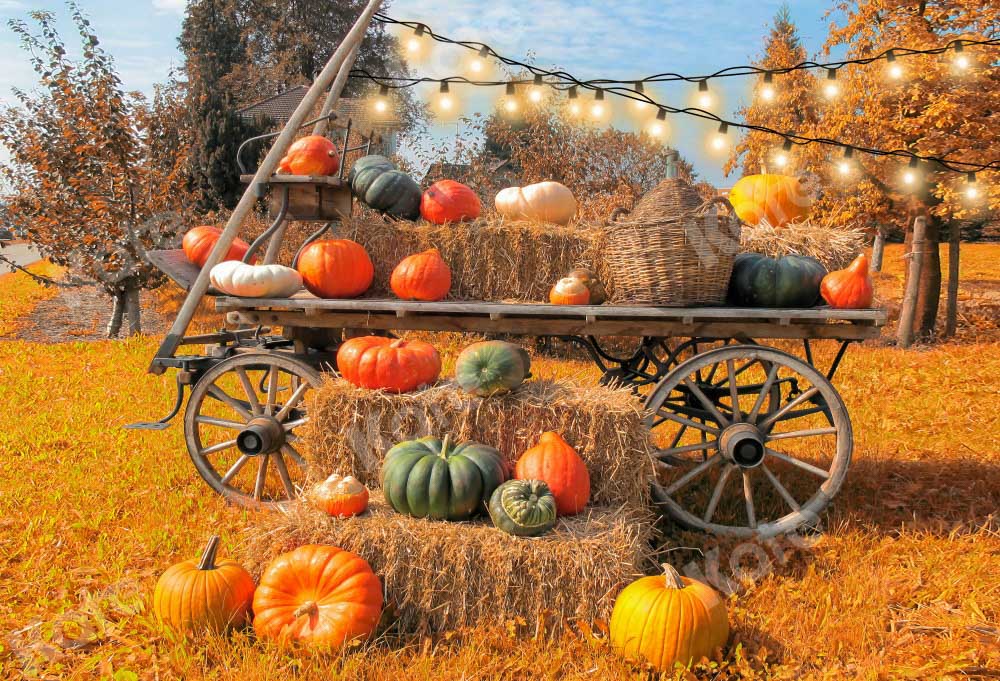 Kate Autumn Pumpkin Outdoors Backdrop Designed by Chain Photography - Kate Backdrop AU