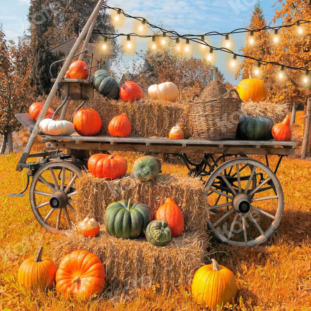 Kate Autumn Pumpkin Outdoors Backdrop Designed by Chain Photography