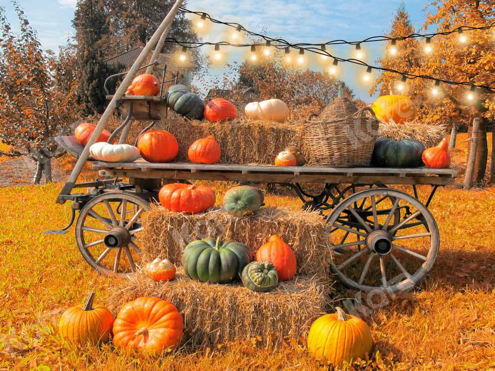 Kate Autumn Pumpkin Outdoors Backdrop Designed by Chain Photography