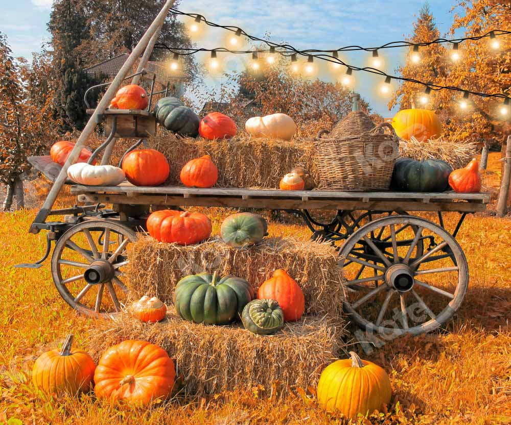 Kate Autumn Pumpkin Outdoors Backdrop Designed by Chain Photography