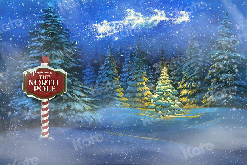 Kate Christmas Night Snow Scene Backdrop Forest for Photography - Kate Backdrop AU