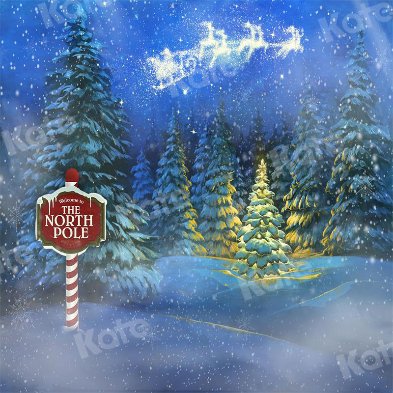 Kate Christmas Night Snow Scene Backdrop Forest for Photography