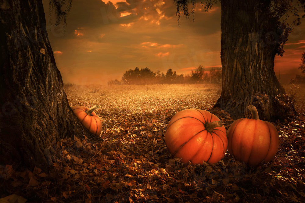 Kate Autumn Nature Backdrop Pumpkin Deciduous Forest for Photography - Kate Backdrop AU