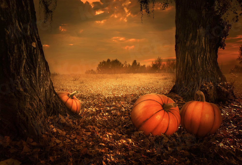 Kate Autumn Nature Backdrop Pumpkin Deciduous Forest for Photography - Kate Backdrop AU